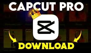 CapCut Pro